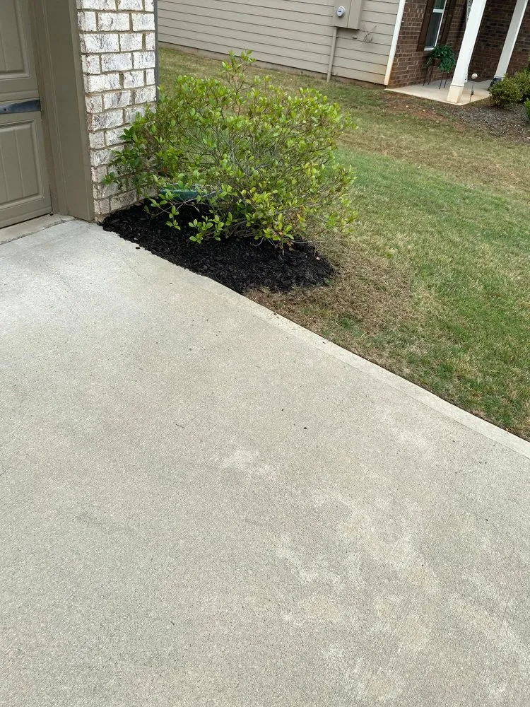 Trusted lawn care service experts serving Athens, GA - Stitt Professional lawn care service