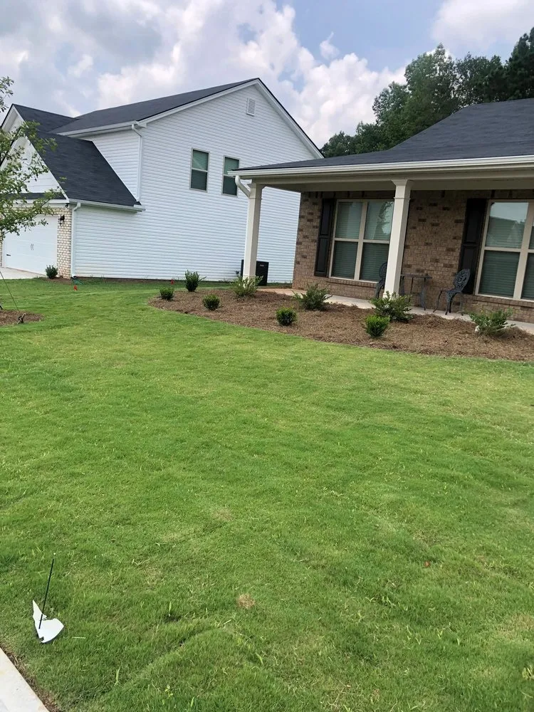 Top-rated yard cleanup service in Athens, GA - Stitt Professional lawn care service