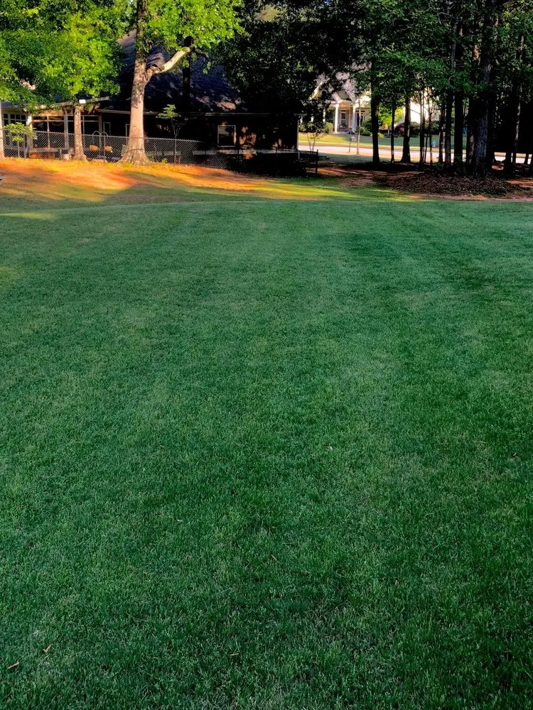 Custom garden landscaping in Athens, GA - Stitt Professional lawn care service