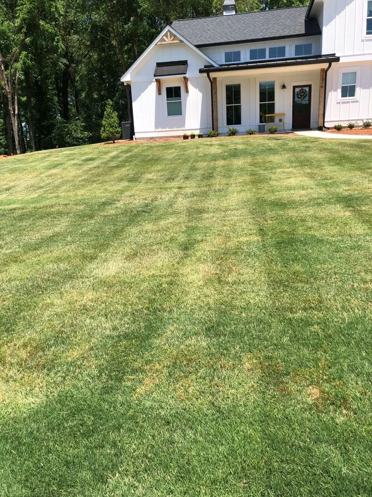 Top-rated yard maintenance experts serving Athens, GA - Stitt Professional lawn care service