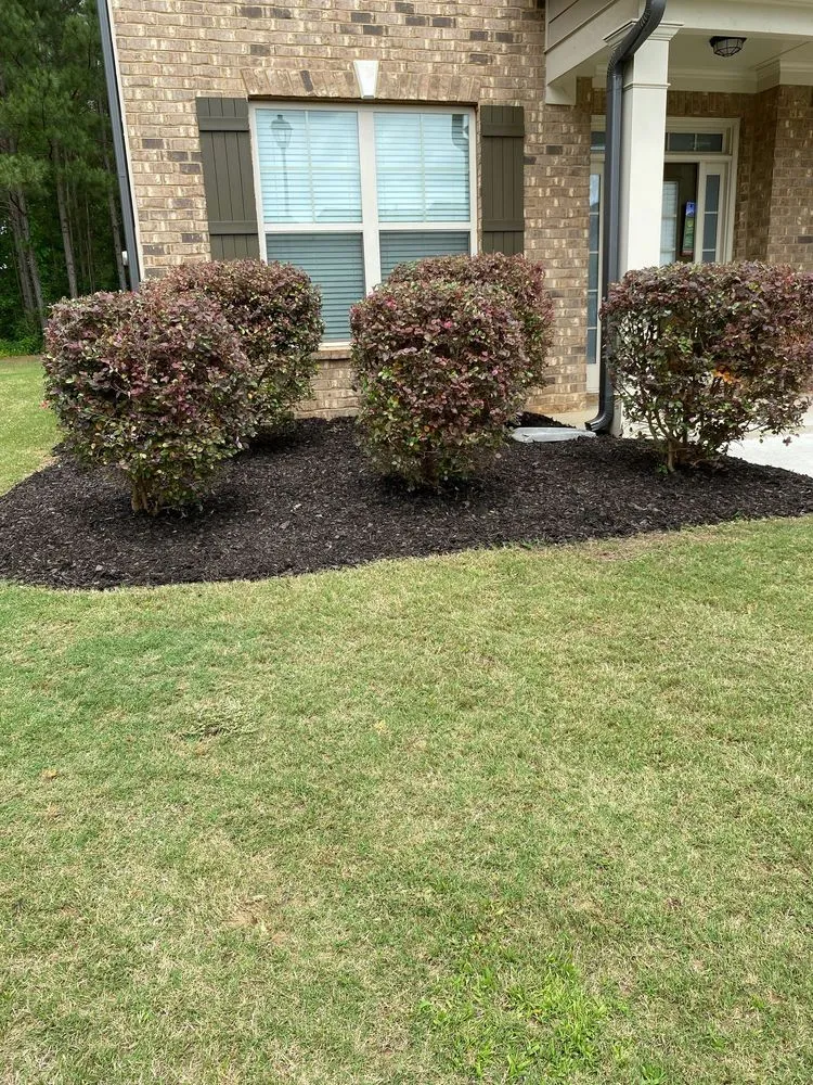 Affordable garden landscaping experts serving Athens, GA - Stitt Professional lawn care service