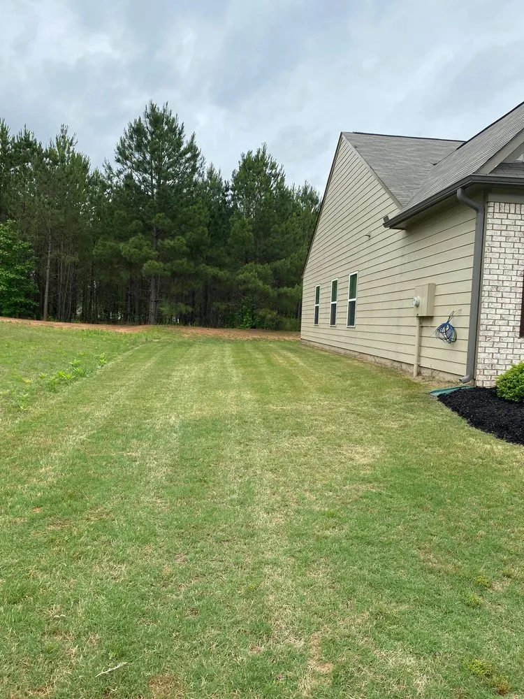 Affordable residential landscaping experts serving Athens, GA - Stitt Professional lawn care service