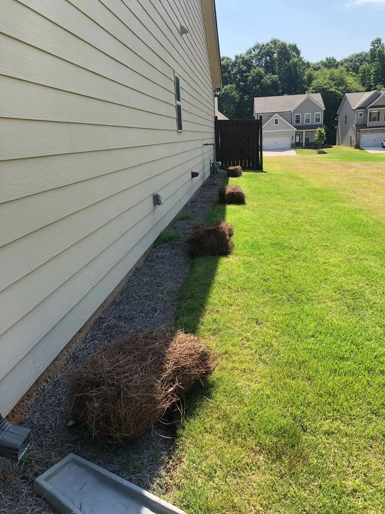 Top-rated residential landscaping experts serving Athens, GA - Stitt Professional lawn care service