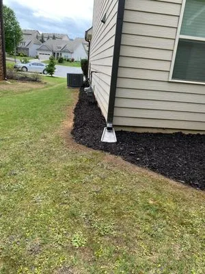 Stitt Professional lawn care service Logo