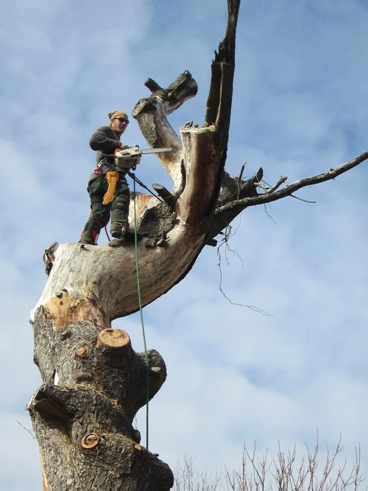 Custom landscape design in Telford, PA by Stix & Stones