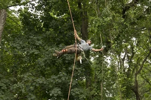 Expert outdoor landscaping for year-round maintenance across Telford, PA - Stix & Stones