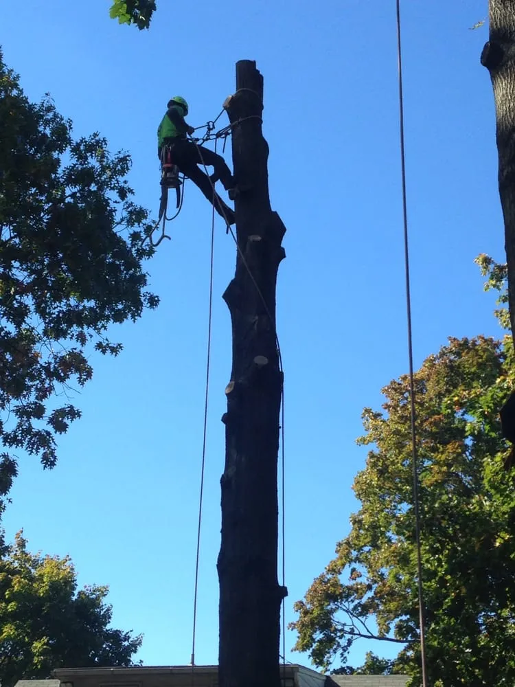 Custom landscaping services in Telford, PA by Stix & Stones