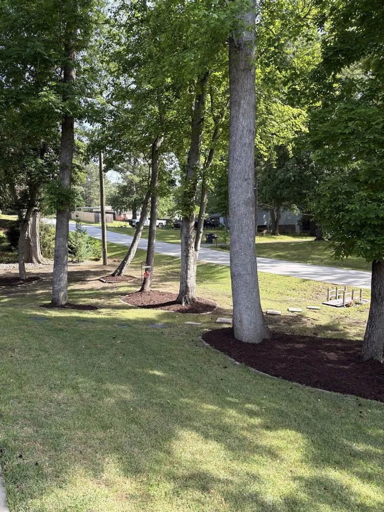 Top-rated outdoor landscaping for residential properties across Raleigh, NC - Stix And Stones Landscape