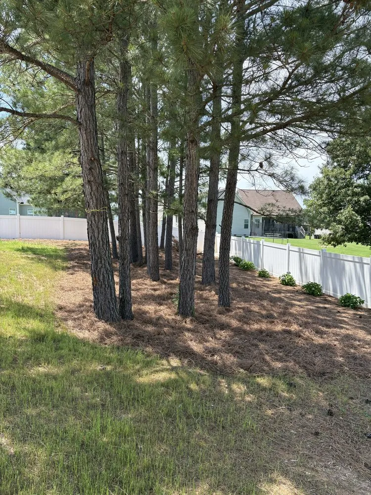 Affordable yard maintenance for outdoor upgrades in Raleigh, NC by Stix And Stones Landscape