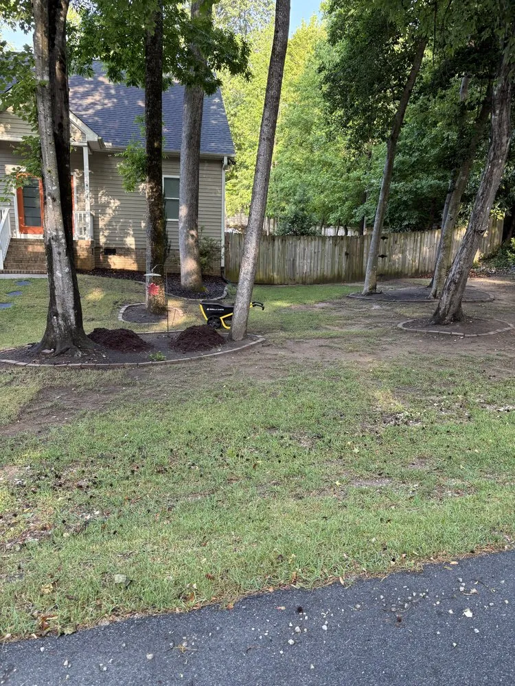 Top-rated yard cleanup service in Raleigh, NC by Stix And Stones Landscape