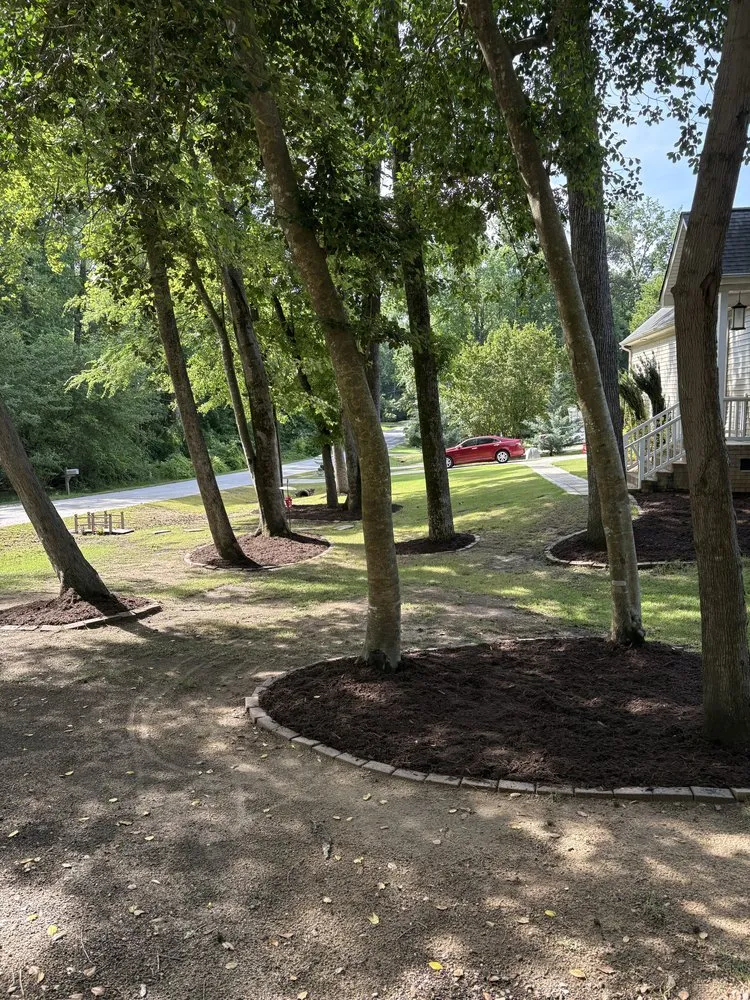 Trusted yard maintenance for residential properties in Raleigh, NC by Stix And Stones Landscape