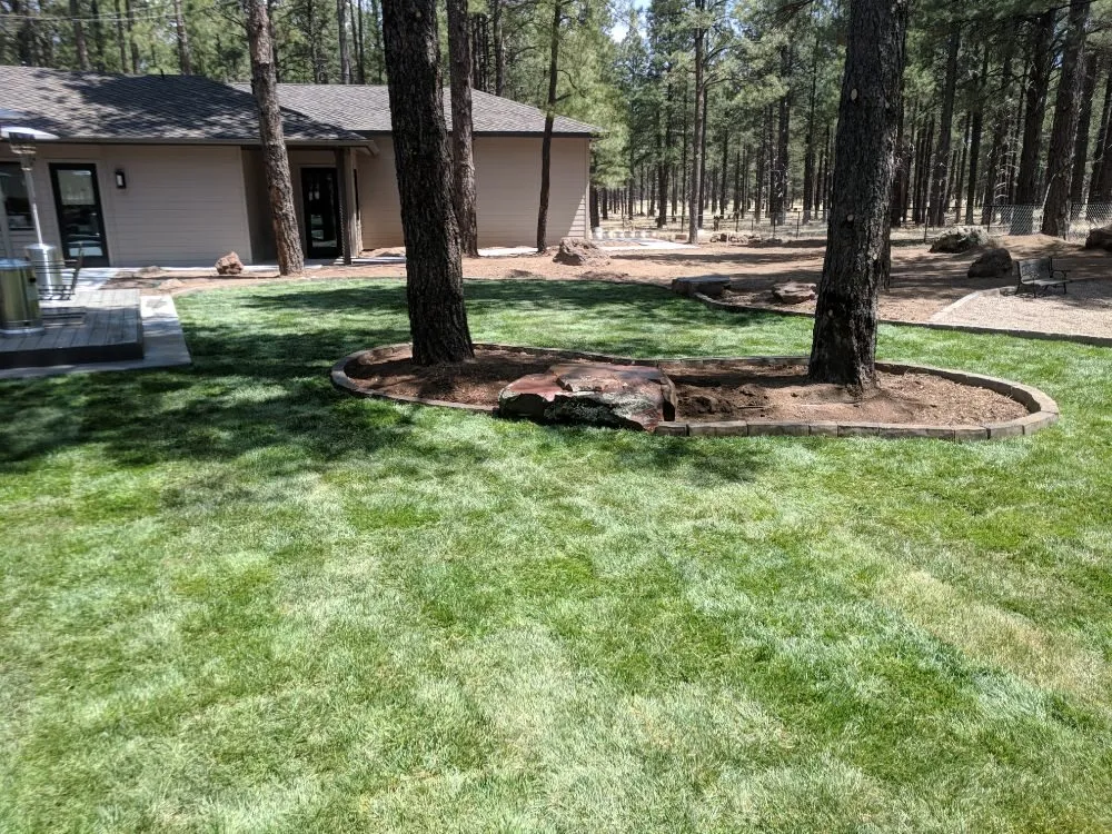 Custom landscaping services for beautiful yards across Flagstaff, AZ - Stix and Stones Landscaping