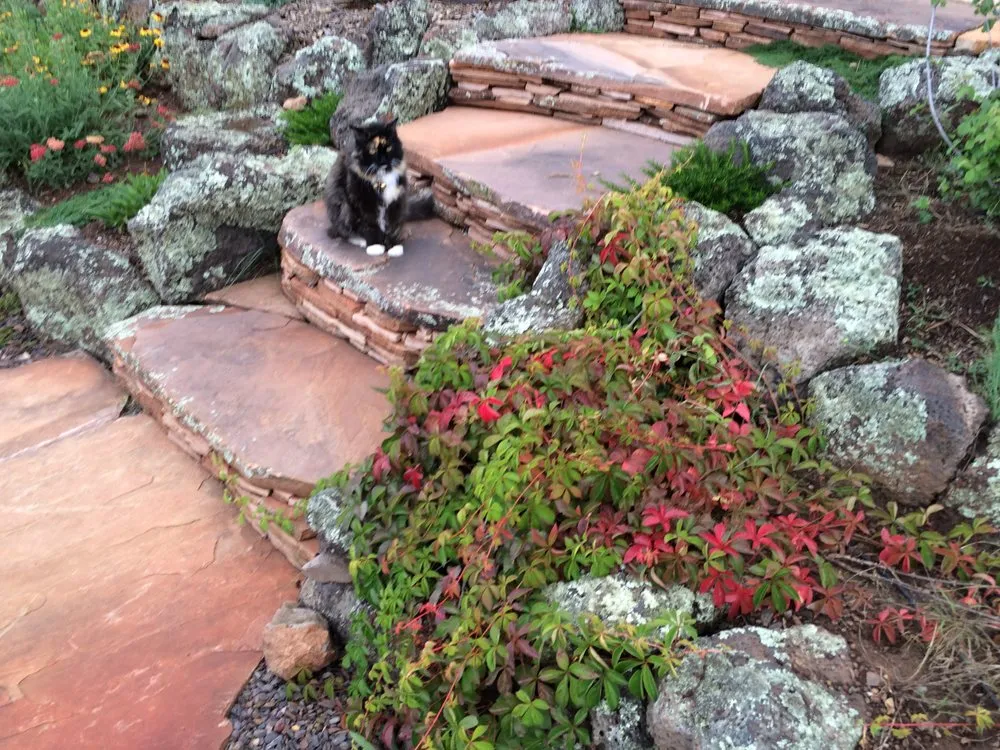 Affordable lawn mowing service experts serving Flagstaff, AZ - Stix and Stones Landscaping