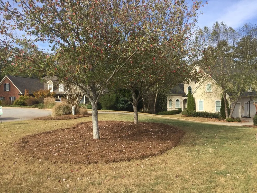 Reliable landscaping services in Newnan, GA by Stix Lawn Care And Landscaping