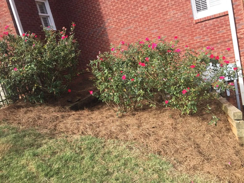 Top-rated landscaping services for homes in Newnan, GA by Stix Lawn Care And Landscaping