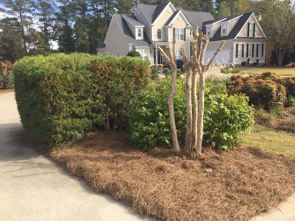 Professional yard cleanup service for beautiful yards across Newnan, GA - Stix Lawn Care And Landscaping