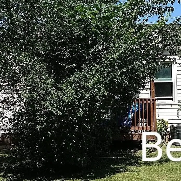 Affordable yard maintenance near you across St. Louis, MO - Stl Elite Services