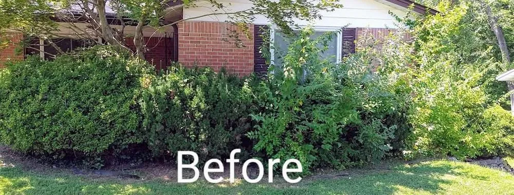 Trusted lawn mowing service near you in St. Louis, MO by Stl Elite Services