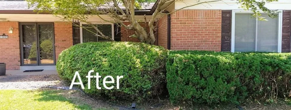 Affordable lawn care service in St. Louis, MO by Stl Elite Services