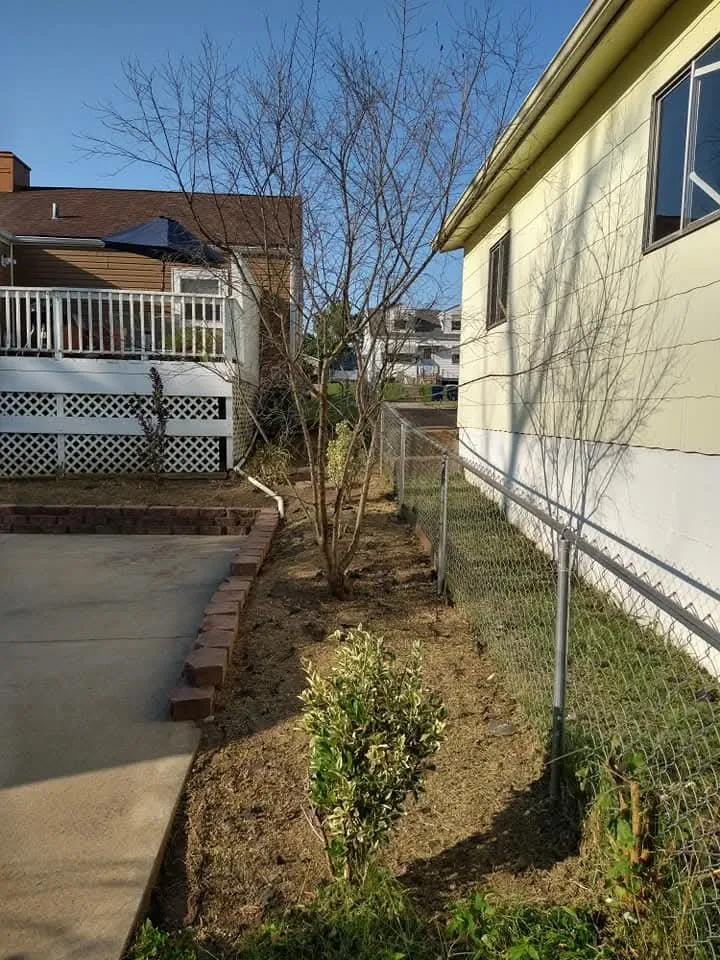 Local outdoor landscaping in St. Louis, MO by Stl Elite Services