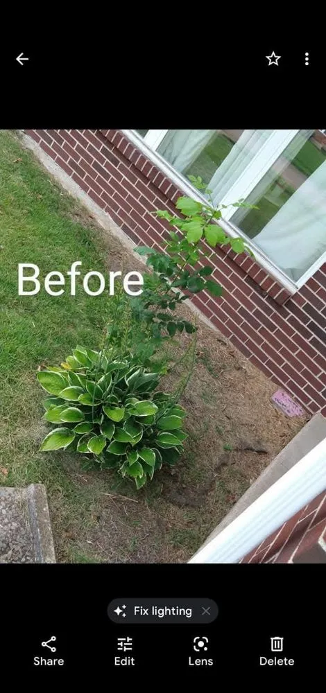 Professional residential landscaping for outdoor upgrades across St. Louis, MO - Stl Elite Services