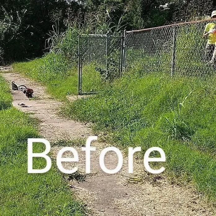 Affordable lawn care service for year-round maintenance across St. Louis, MO - Stl Elite Services