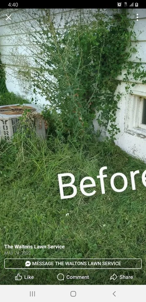 Local landscape installation for homes across St. Louis, MO - Stl Elite Services