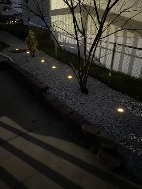 Top-rated yard cleanup service in St. Louis, MO by Stl Elite Services