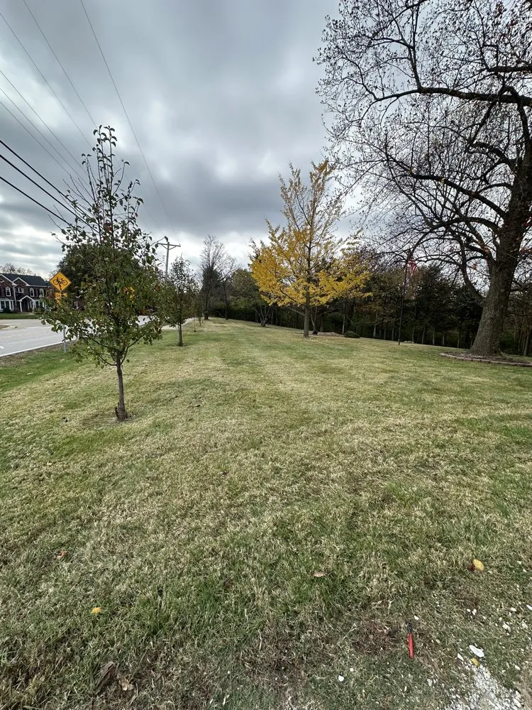 Expert yard cleanup service experts serving Berkeley, MO - Stl Gold Lawncare & Landscape