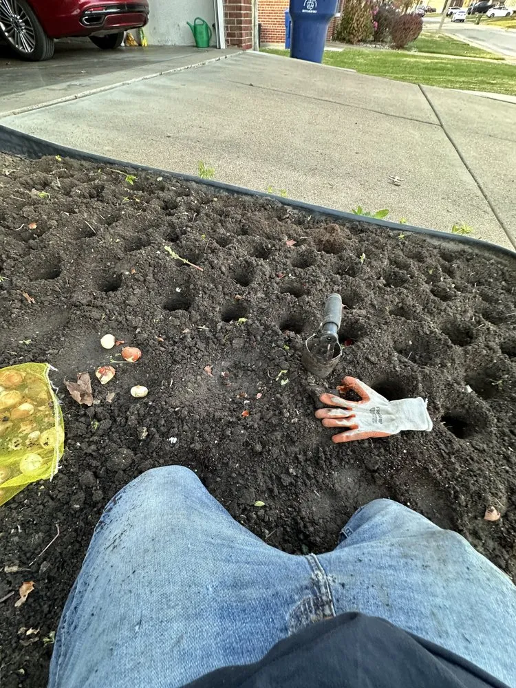 Expert yard maintenance experts serving Berkeley, MO - Stl Gold Lawncare & Landscape