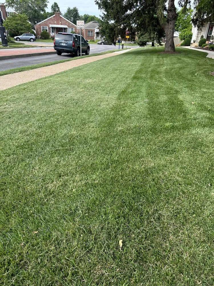 Local landscape installation experts serving Berkeley, MO - Stl Gold Lawncare & Landscape