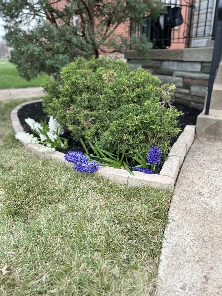 Trusted landscaping services in Berkeley, MO - Stl Gold Lawncare & Landscape