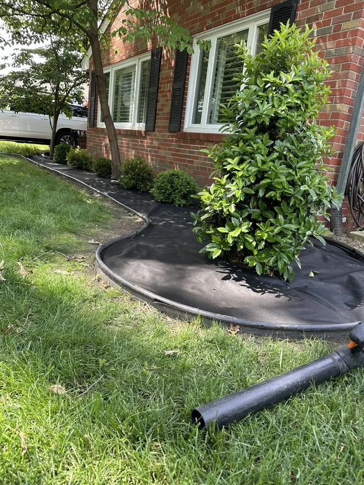 Local lawn mowing service experts serving Berkeley, MO - Stl Gold Lawncare & Landscape