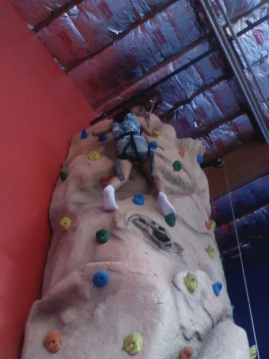 Reliable yard cleanup service for outdoor upgrades across Berkeley, MO - Stl Gold Lawncare & Landscape