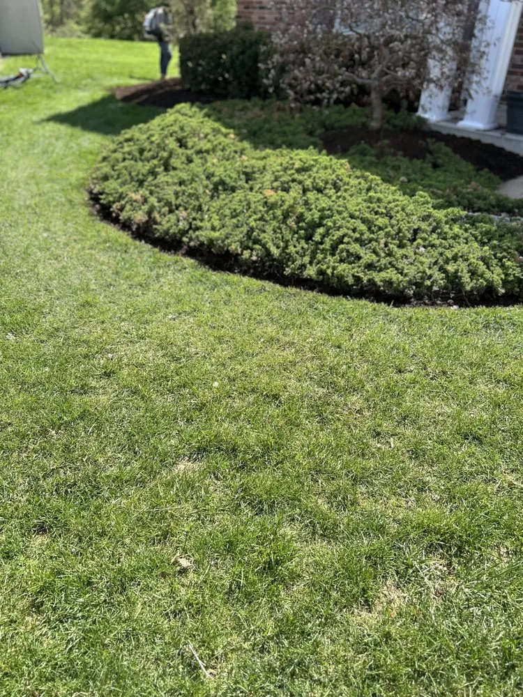 Local yard cleanup service in Berkeley, MO by Stl Gold Lawncare & Landscape