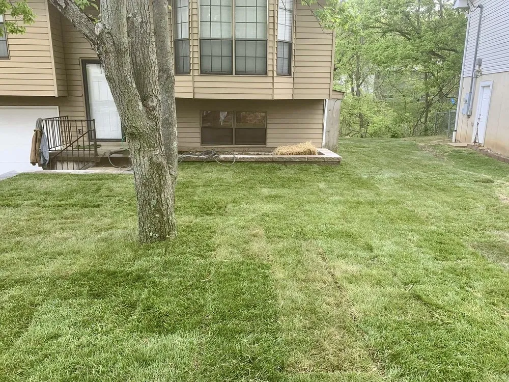 Custom residential landscaping for year-round maintenance across Scotsdale, MO - Stl Sod Install & Hardscapes