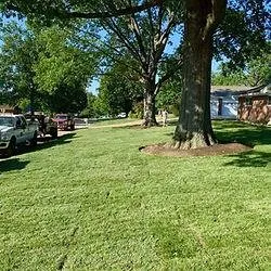Expert residential landscaping for residential properties in Scotsdale, MO by Stl Sod Install & Hardscapes