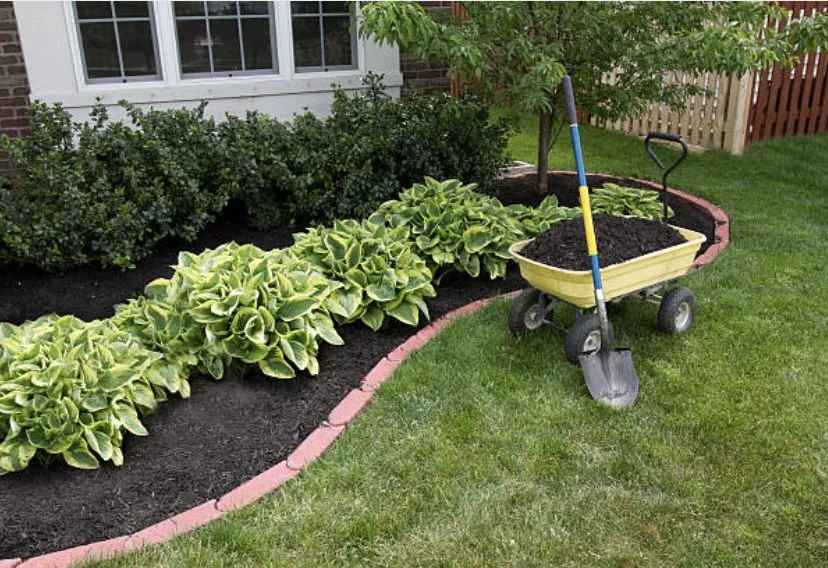 Local yard maintenance in Lee's Summit, MO by Stockdale Outdoors