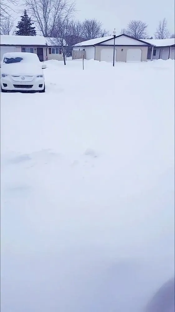 Trusted yard maintenance in Bryan, OH - Stockman Lawn Service