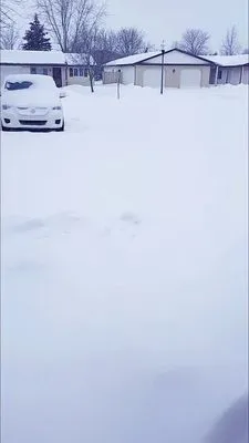 Stockman Lawn Service