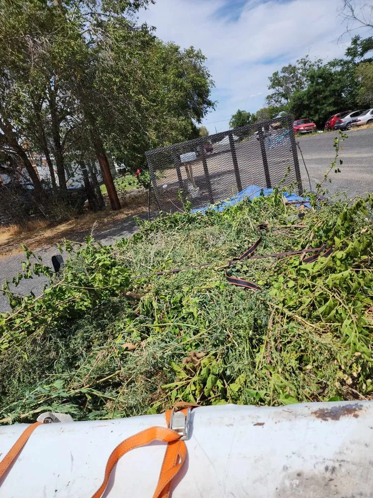 Trusted yard cleanup service for beautiful yards across Moses Lake, WA - Stockman Lawncare