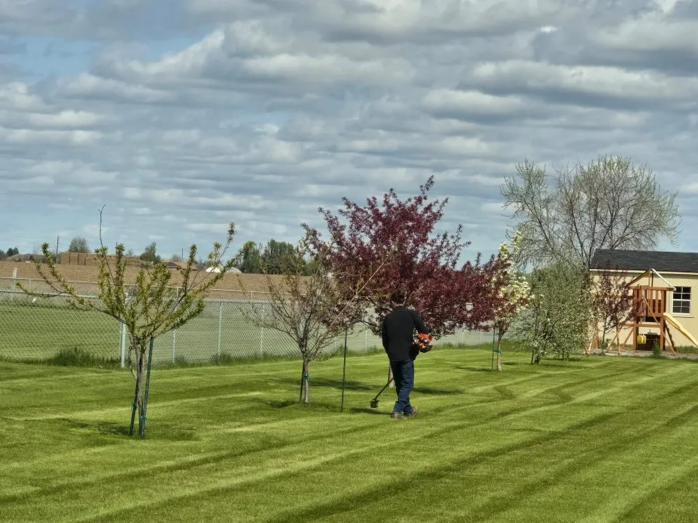 Professional lawn care service near you in Moses Lake, WA by Stockman Lawncare