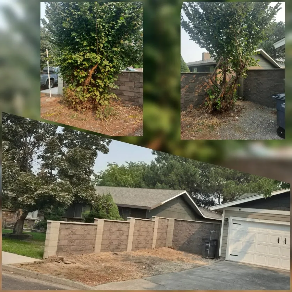 Local yard maintenance in Moses Lake, WA by Stockman Lawncare