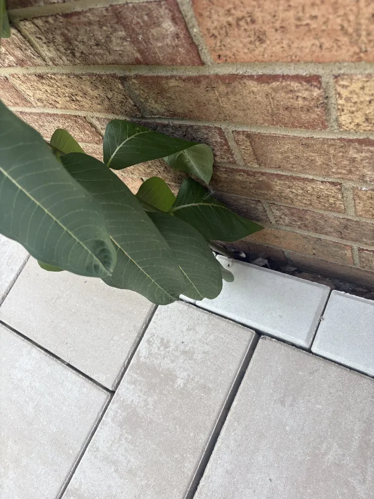 Expert residential landscaping with custom design in Pittsburgh, PA by Stockman Lawnscape