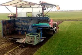 Top-rated landscape design for year-round maintenance in Reese, MI by Stockmeyer Sod Farm