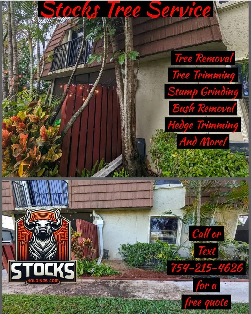 Expert landscape installation in North Lauderdale, FL - Stocks Holdings
