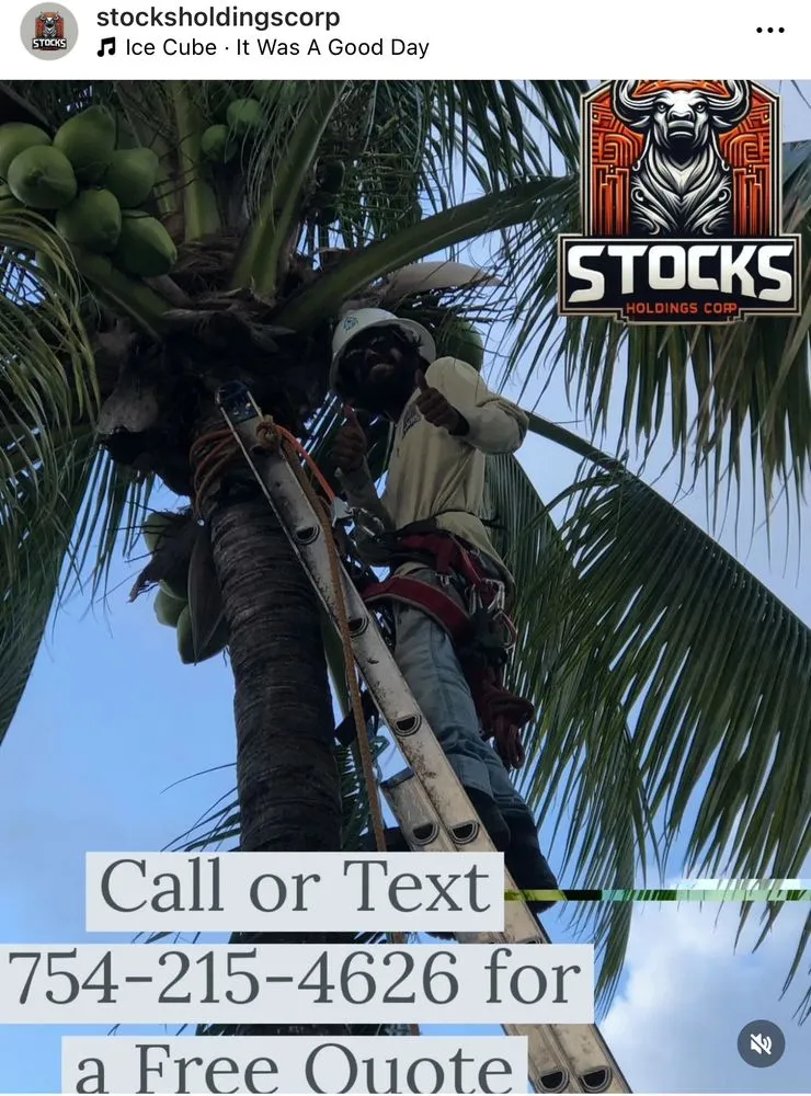 Trusted landscape installation experts serving North Lauderdale, FL - Stocks Holdings