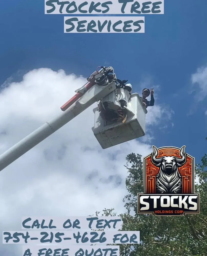 Local landscaping services for beautiful yards across North Lauderdale, FL - Stocks Holdings