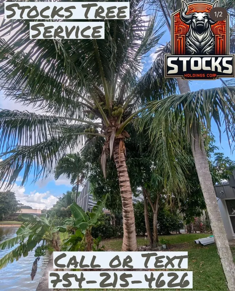 Reliable residential landscaping in North Lauderdale, FL - Stocks Holdings