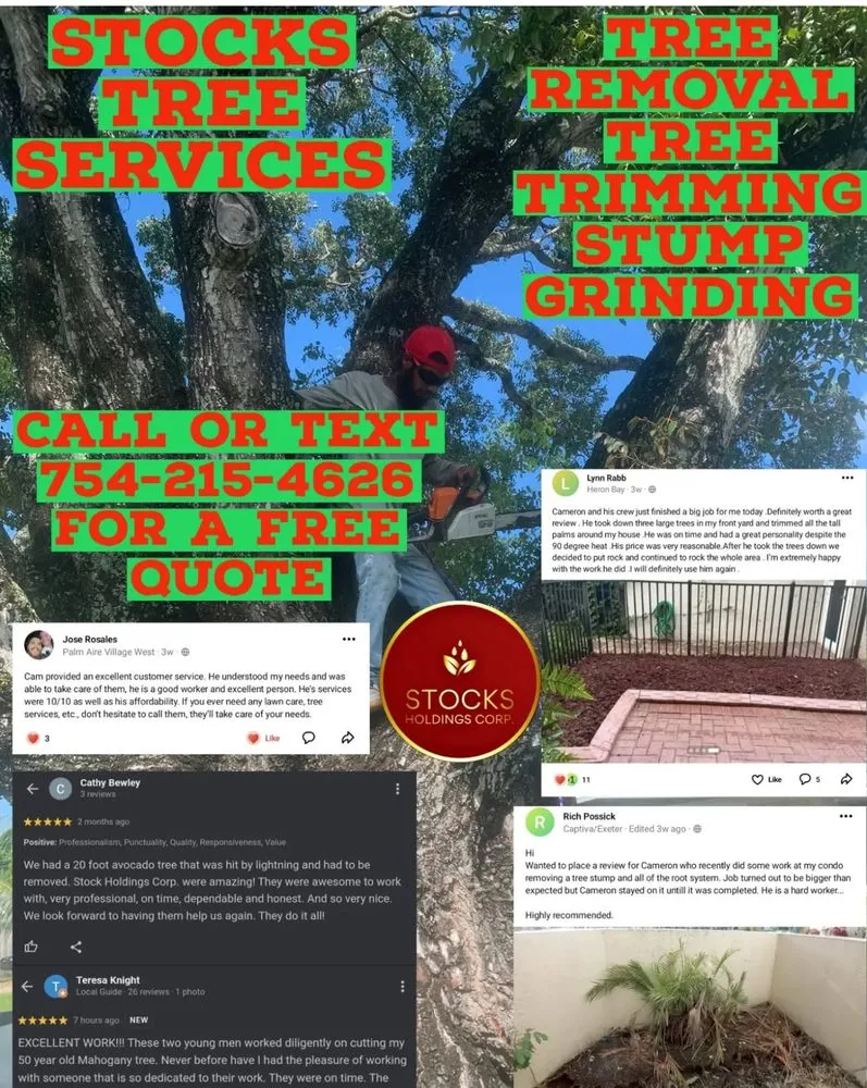 Expert garden landscaping for beautiful yards across North Lauderdale, FL - Stocks Holdings